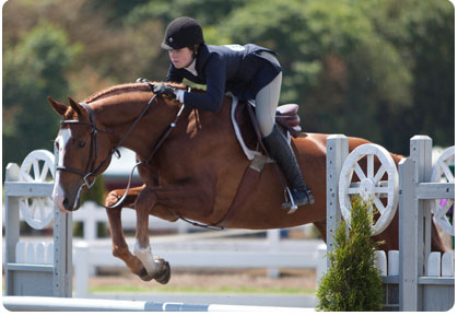 Puppet & Katherine Dash